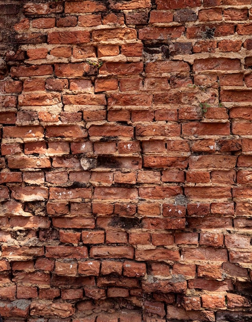 Close up of WALL Pattern background