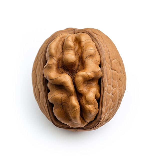 close up walnut kernel on white background