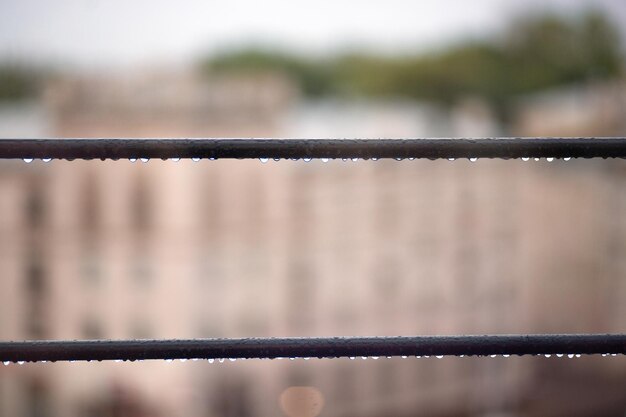 Close up water drops on the cable line with nature blurred background Raining day