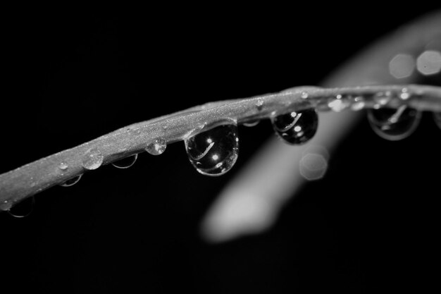 Photo close-up of water drops on glass