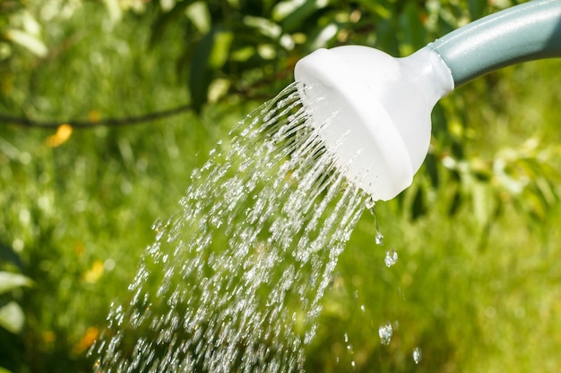 Close-up water pouring from a plastic watering can with a garden on the surface