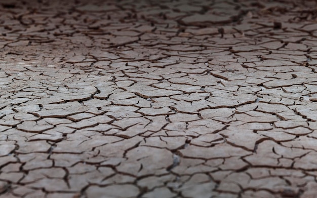 Close up weathered texture of arid cracked ground