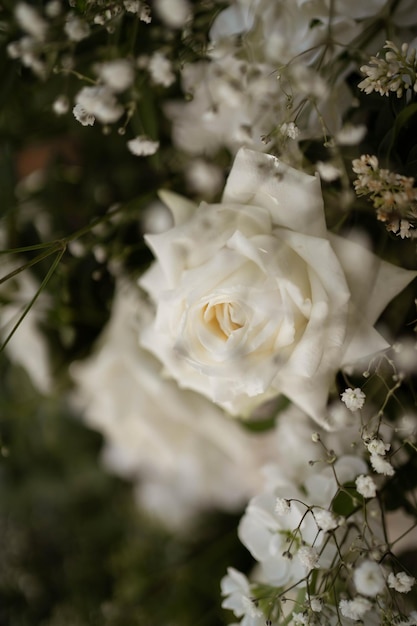 Close up of wedding decorations with white fresh flowers Tender wedding arrangements