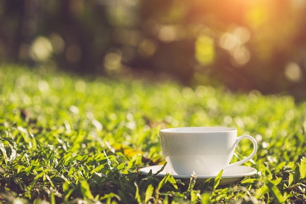 Close up white coffee cup in the garden at morning time