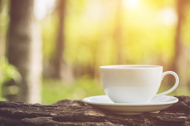 Close up white coffee cup in the garden at morning time