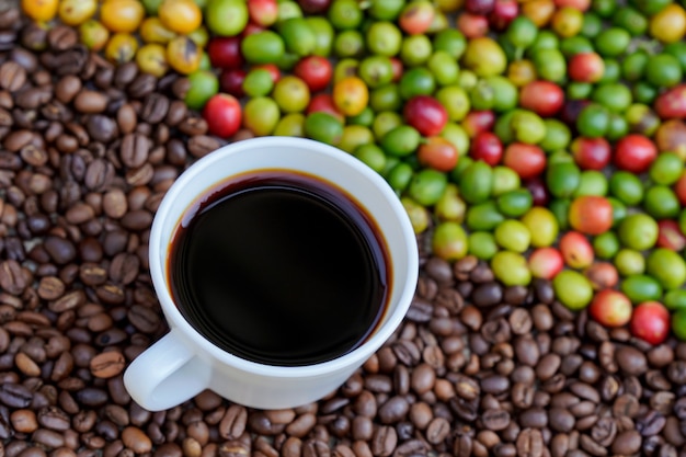 Close-up of a white coffee cup with raw coffee beans background in the morning sunlight.