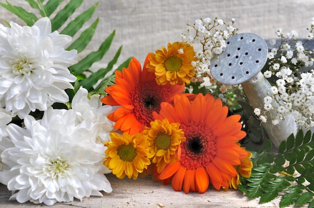 Photo close-up of white daisy flowers