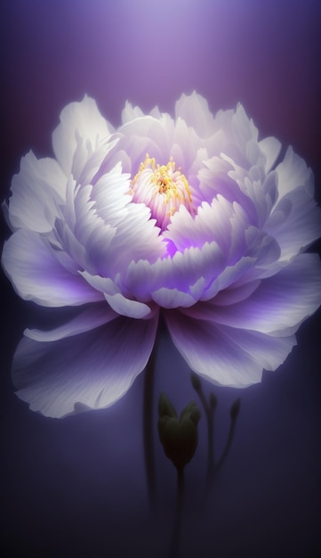 Close up of white flower with purple background generative ai