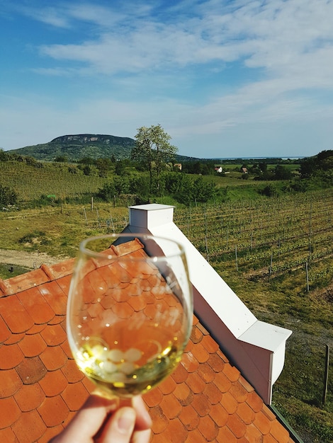 Photo close-up of wineglass on landscape against sky