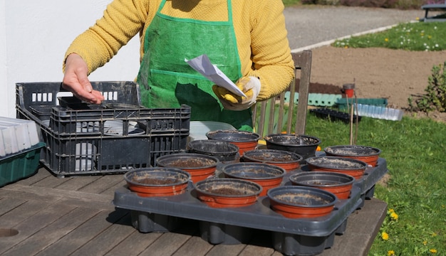 A close up of woman hands gardening