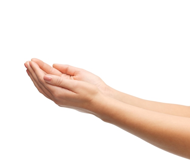 close up of womans cupped hands showing something