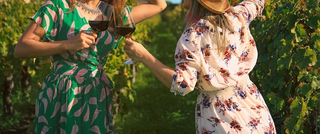 Close up on women hands holding red wine glasses at vineyard in France