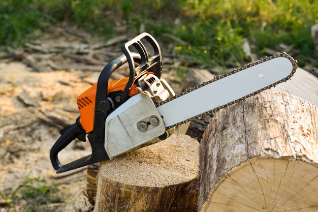 Close-up of woodcutter sawing chain saw in motion, sawdust fly to sides. A person using a chainsaw on pretty wood.Woodcutter saws tree with chainsaw on sawmill