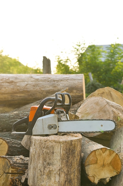 Close-up of woodcutter sawing chain saw in motion, sawdust fly to sides. A person using a chainsaw on pretty wood.Woodcutter saws tree with chainsaw on sawmill