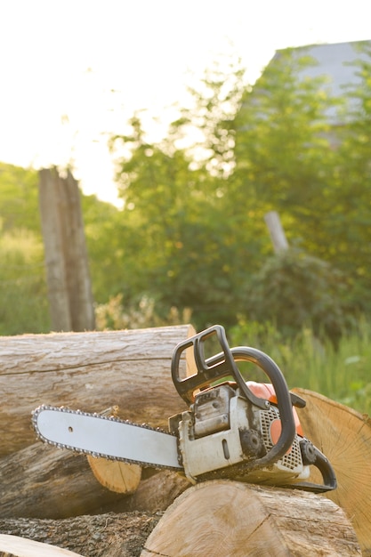 Close-up of woodcutter sawing chain saw in motion, sawdust fly to sides. A person using a chainsaw on pretty wood.Woodcutter saws tree with chainsaw on sawmill