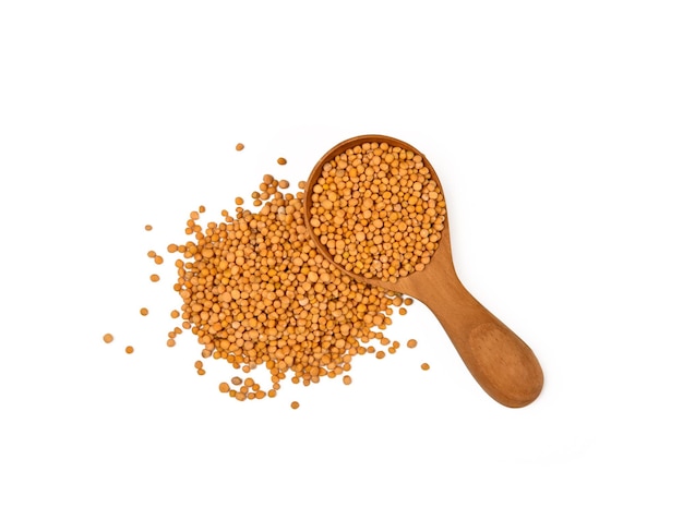 Close up wooden spoon of mustard seeds