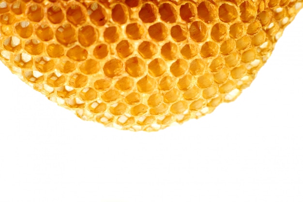  Close up yellow beautiful honeycomb with honey                              