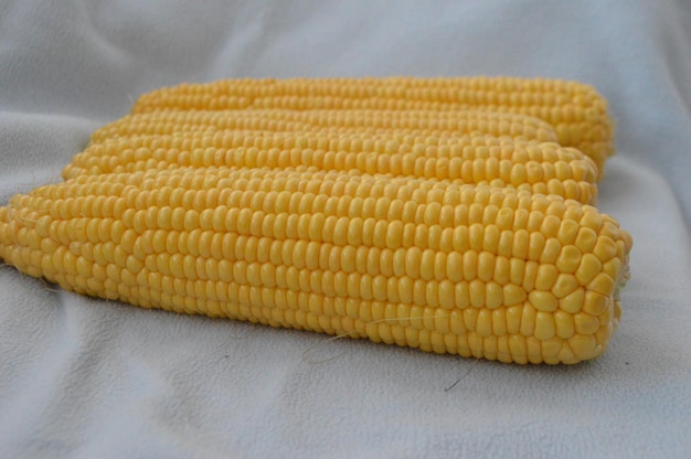 Photo close-up of yellow bread on table