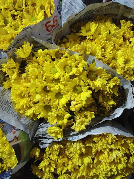 Photo close-up of yellow flowers