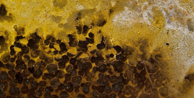 A close up of a yellow foam with the word honey on it.