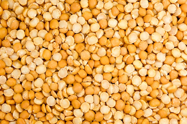 Close-up of yellow raw chickpeas