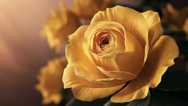 a close up of a yellow rose with the words the name on it