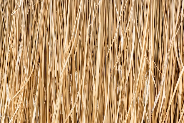 Close up yellow straw wall texture background