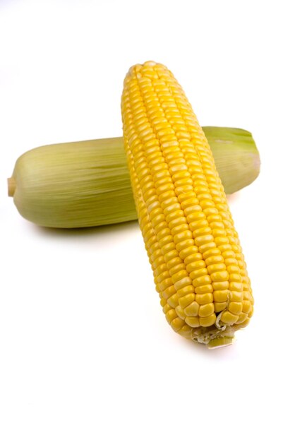 Close-up of yellow sweetcorns over white background