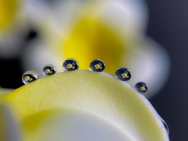 Photo close-up of yellow toy ball