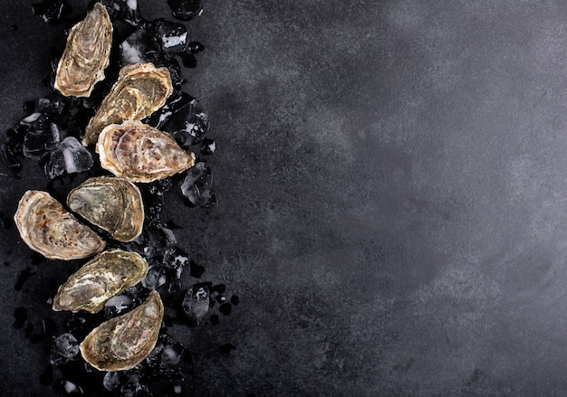 Photo closed oysters and ice on black background. healthy sea food, copy space