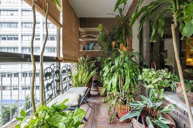 Closed terrace with glass full of plants and flowers in an urban residential building