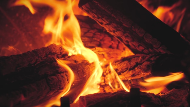 Closeup 4k footage of burning wooden logs in the pizza oven