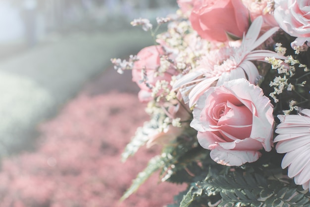 closeup background roses Natural light and pastel colors.