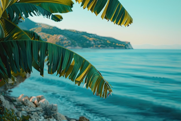 CloseUp of Banana Leaf With Gentle Flow Behind Blue Sea at Dawn