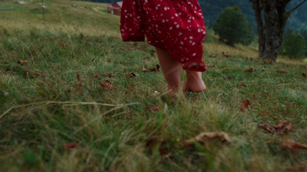 Closeup bare woman feet walking on green grass Unknown barefoot girl wearing red dress stepping on soft meadow Unrecognizable lady legs going on mountain hill with fallen leaves Vacation concept