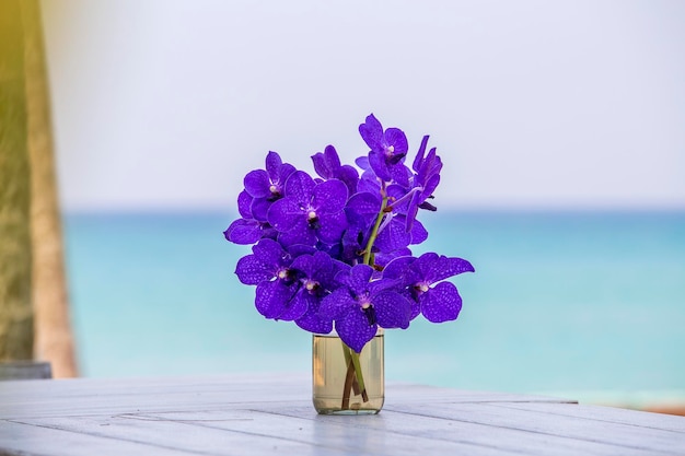 Closeup beautiful bouquet of blue orchids flower on a white wooden table near sea Thailand