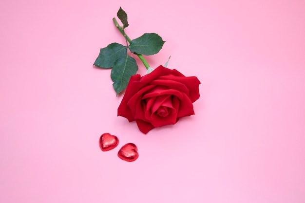 Closeup of a beautiful red rose on pink background with two red candy hearts.  Valentine's,  anniversary, wedding concept.