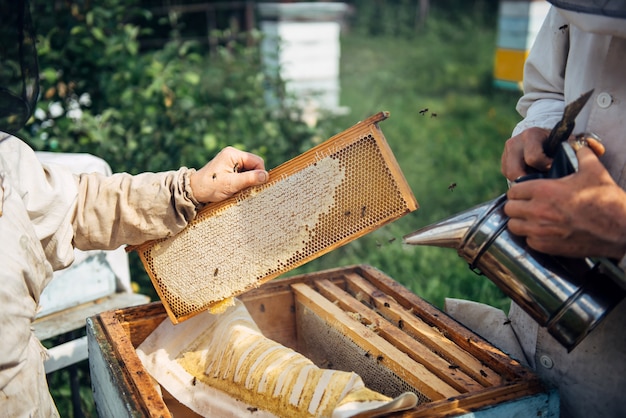 Closeup of beekeeper holding a honeycomb