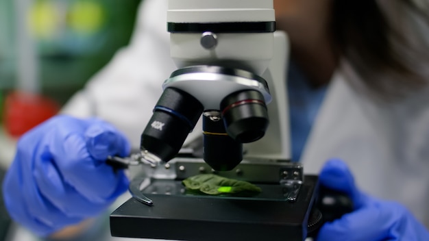 Photo closeup of biologist hands putting leaf sample under microscope analyzing genetic mutation