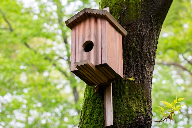 Closeup Bird house on a tree Wooden birdhouse nesting box for songbirds in park