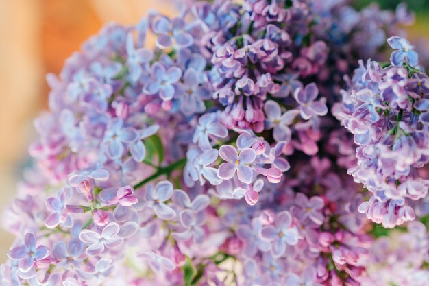 Closeup of blooming lilac branches bouquet in vase