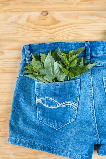 Closeup of blue garden apron and pocket of it full of green grass and little shovel rake white wallEmpty space