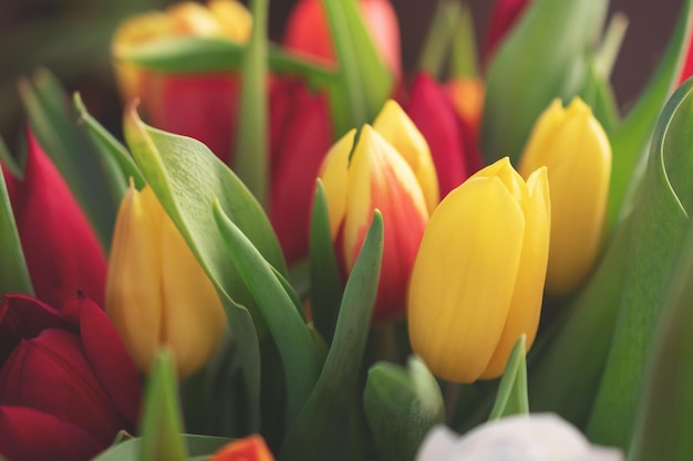 Closeup of a bouquet of tulips