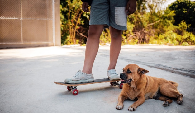 Closeup of a boy practicing standing on a skateboard with his dog