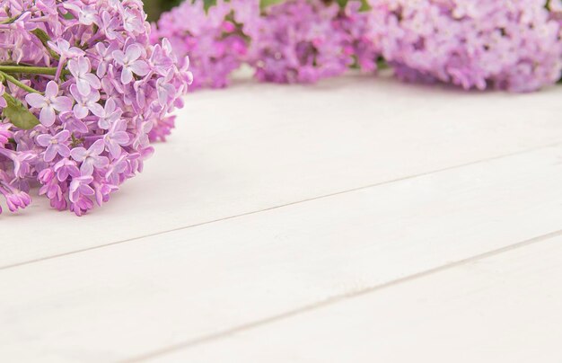 Closeup branches of blooming lilac framed on white wooden background Space for product or text