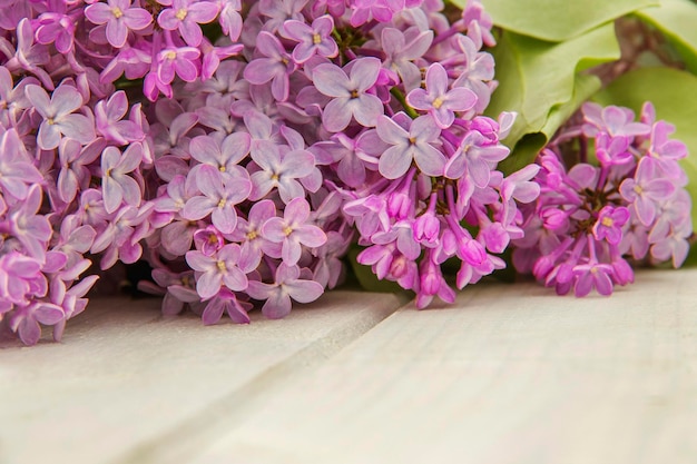 Closeup branches of blooming lilac on white rustic wooden surface Space for product or text on foreground