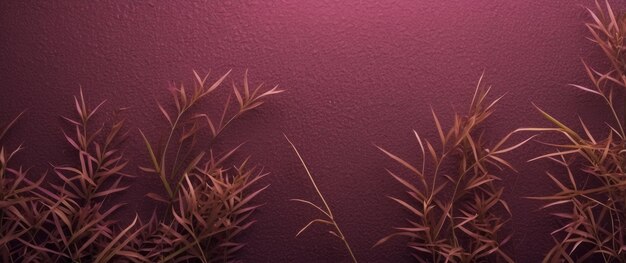 Photo a closeup of brown grass against a burgundy background