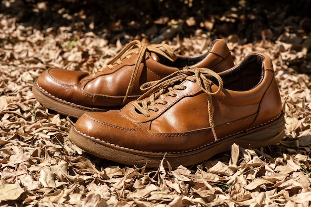 Closeup brown leather fashion shoes in the garden outdoor shoot