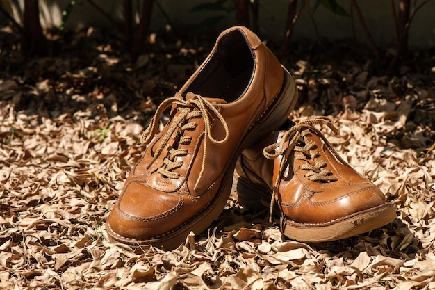 Closeup brown leather fashion shoes in the garden outdoor shoot