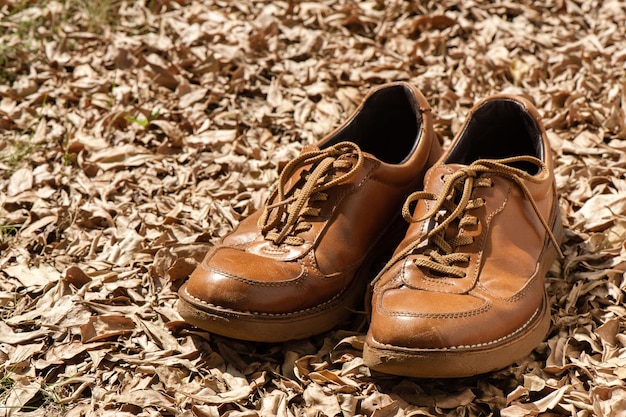 Closeup brown leather fashion shoes in the garden outdoor shoot